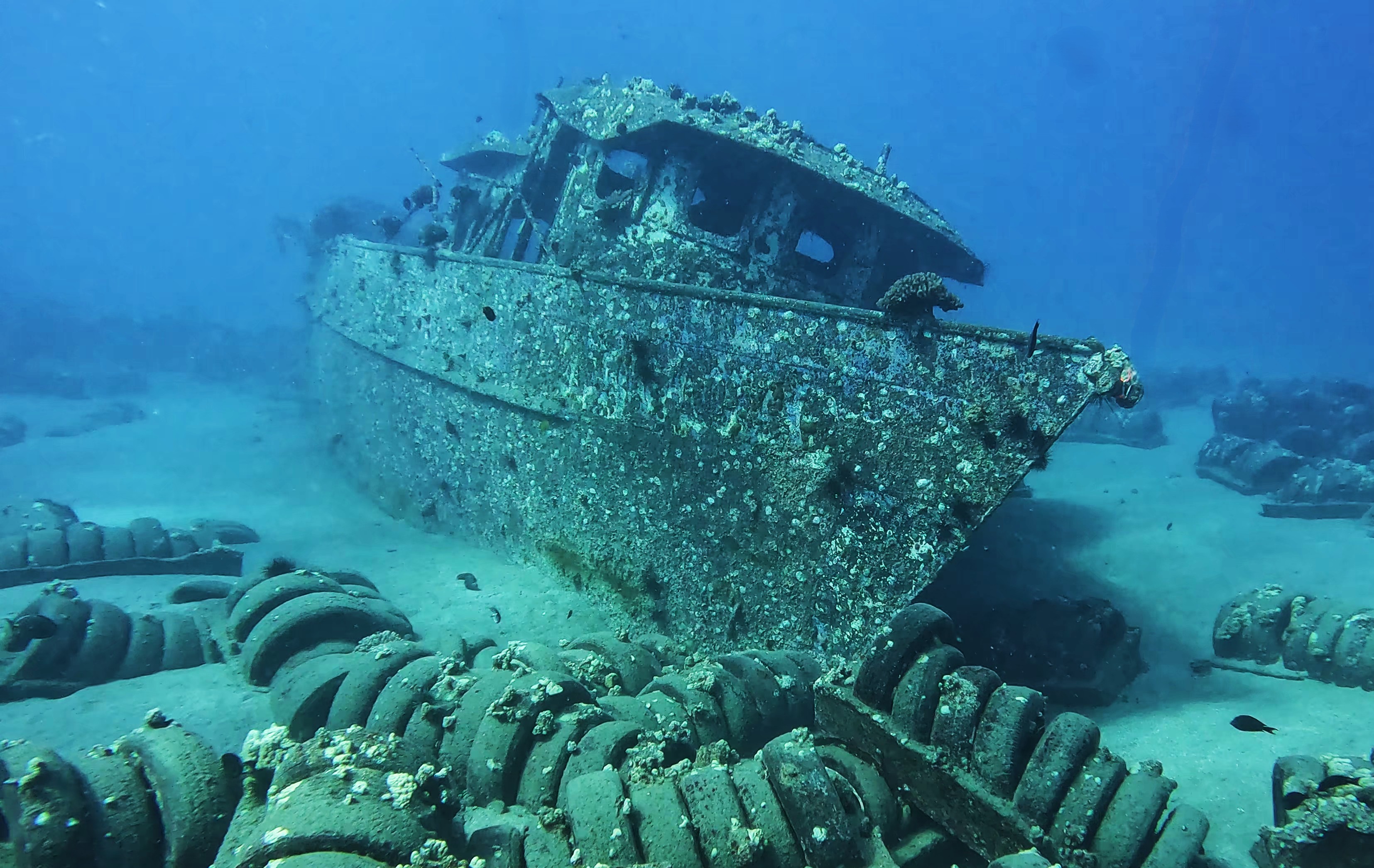 Couples Dive